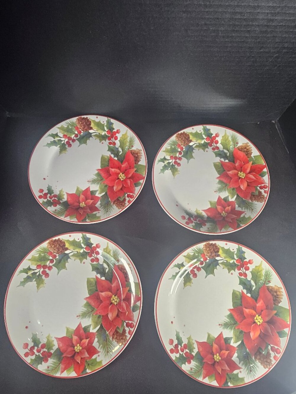 NWT Pier One By World Market 4 Piece Christmas Poinsettia Luncheon Plates